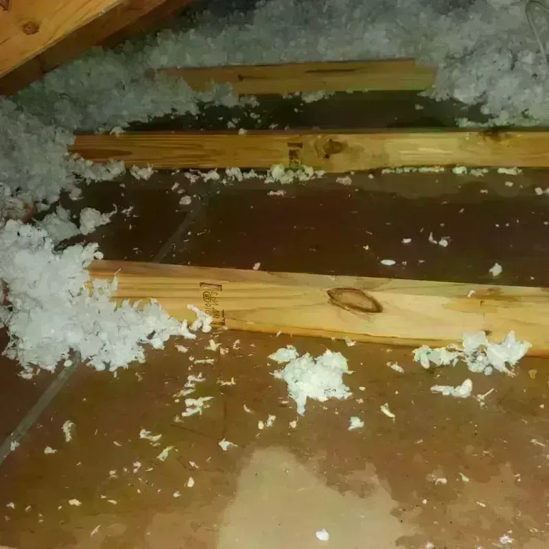 Attic Water Damage in Calexico, CA